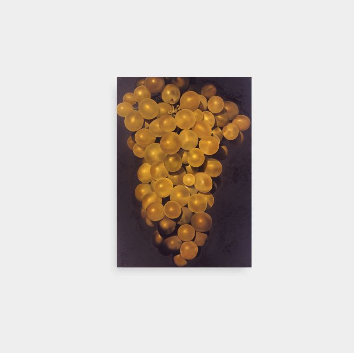 Postkarte - Karin Kneffel "Trauben"